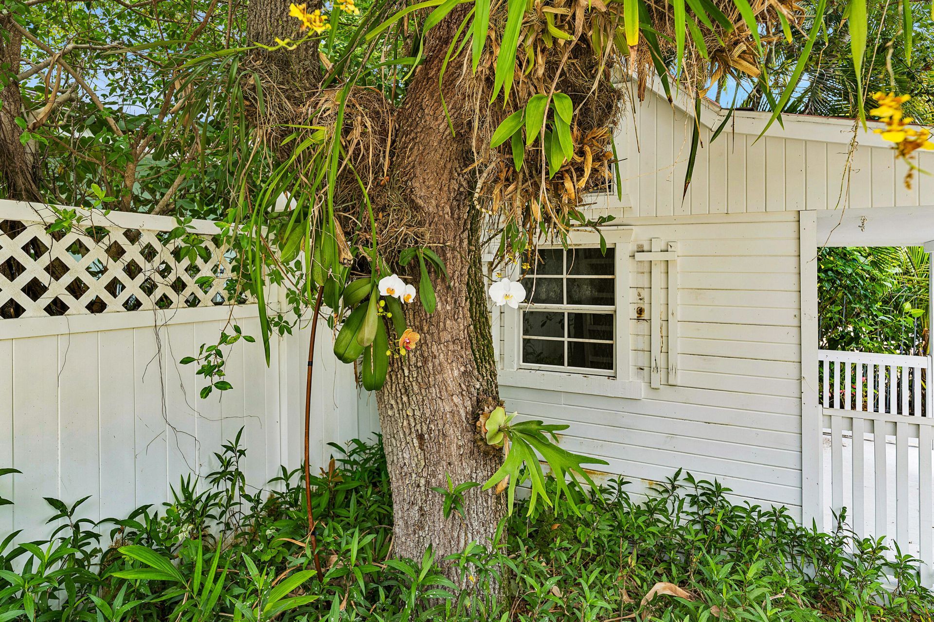 210 Merrain Road, Palm Beach, FL 33480 Photo