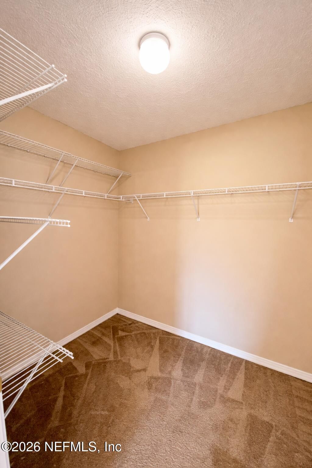 15677 Moss Hollow Drive, Jacksonville, FL 32218 Photo