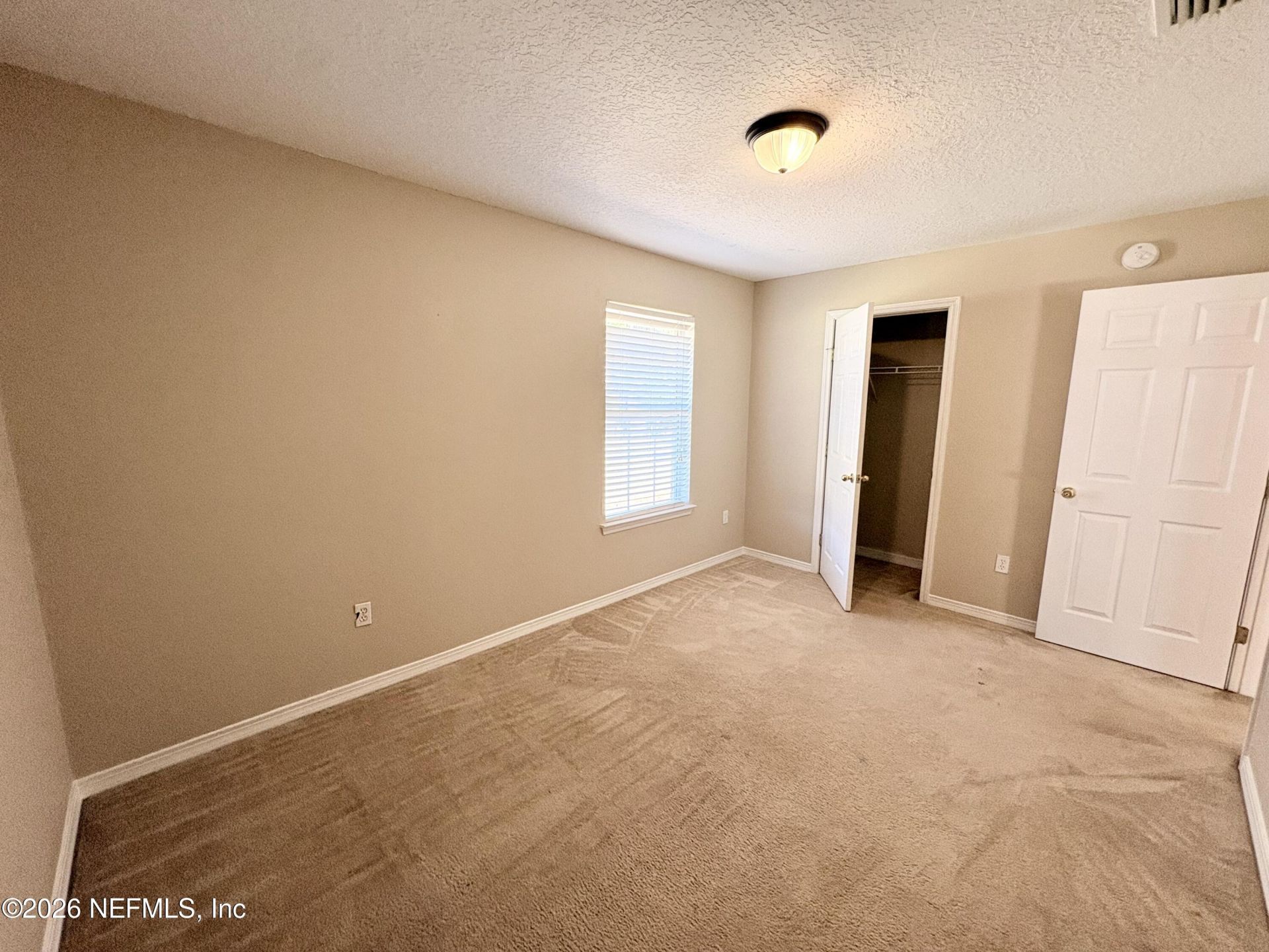 15677 Moss Hollow Drive, Jacksonville, FL 32218 Photo