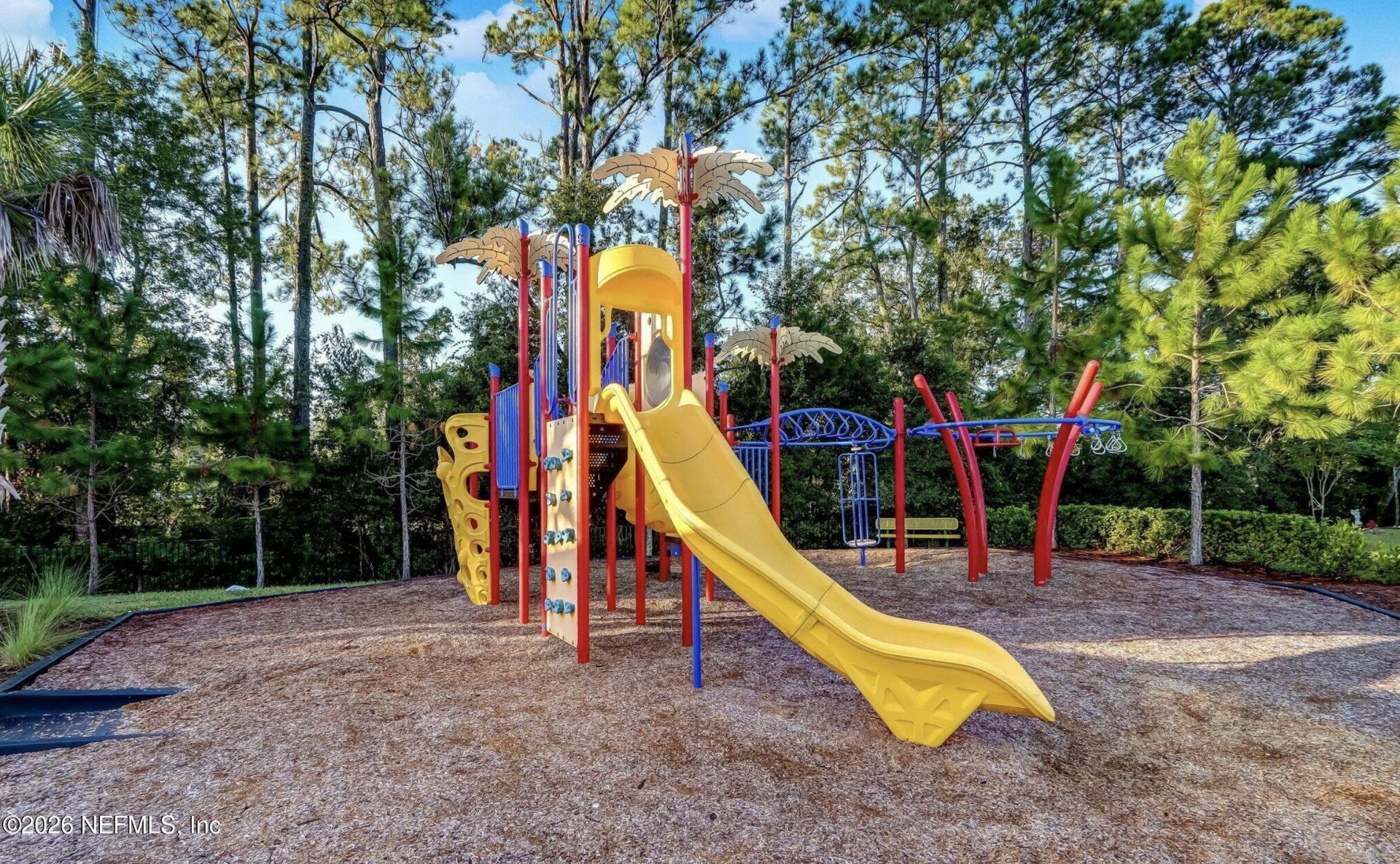 15677 Moss Hollow Drive, Jacksonville, FL 32218 Photo