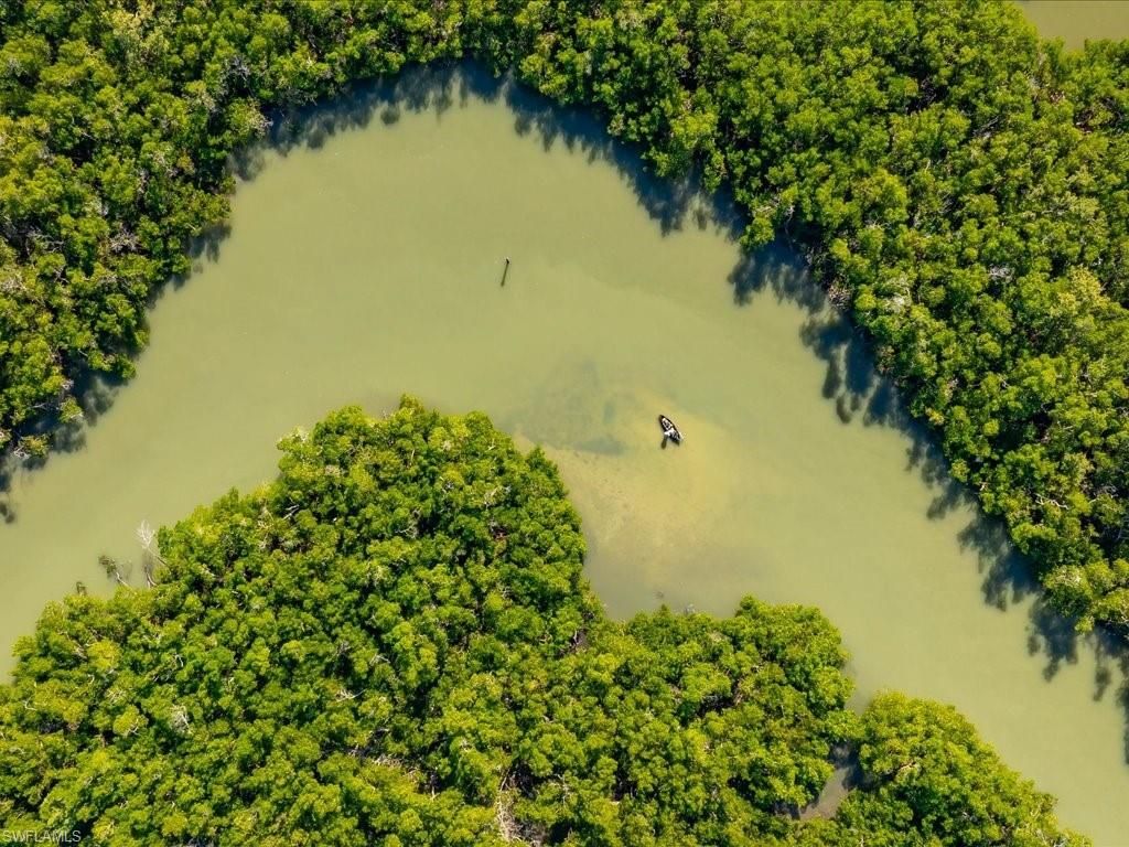 24526 Redfish St , Bonita Springs, FL 34134 Photo