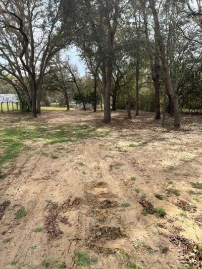 8330 NE 113th Lane , Bronson, FL 32621 Photo