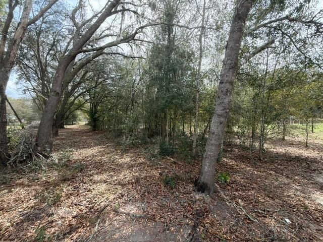 8330 NE 113th Lane , Bronson, FL 32621 Photo