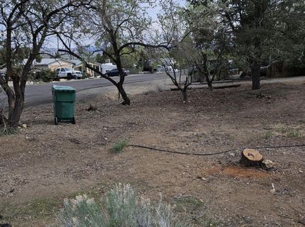 255 Danforth Drive, Sun Valley, NV 89433 Photo