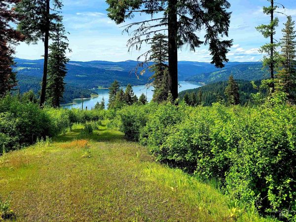 86 Moon River Lane, Orofino, ID 83544