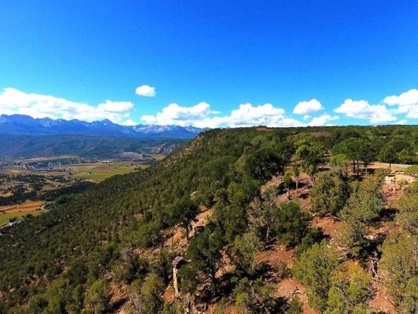 TBD Pine Drive , Ridgway, CO 81432
