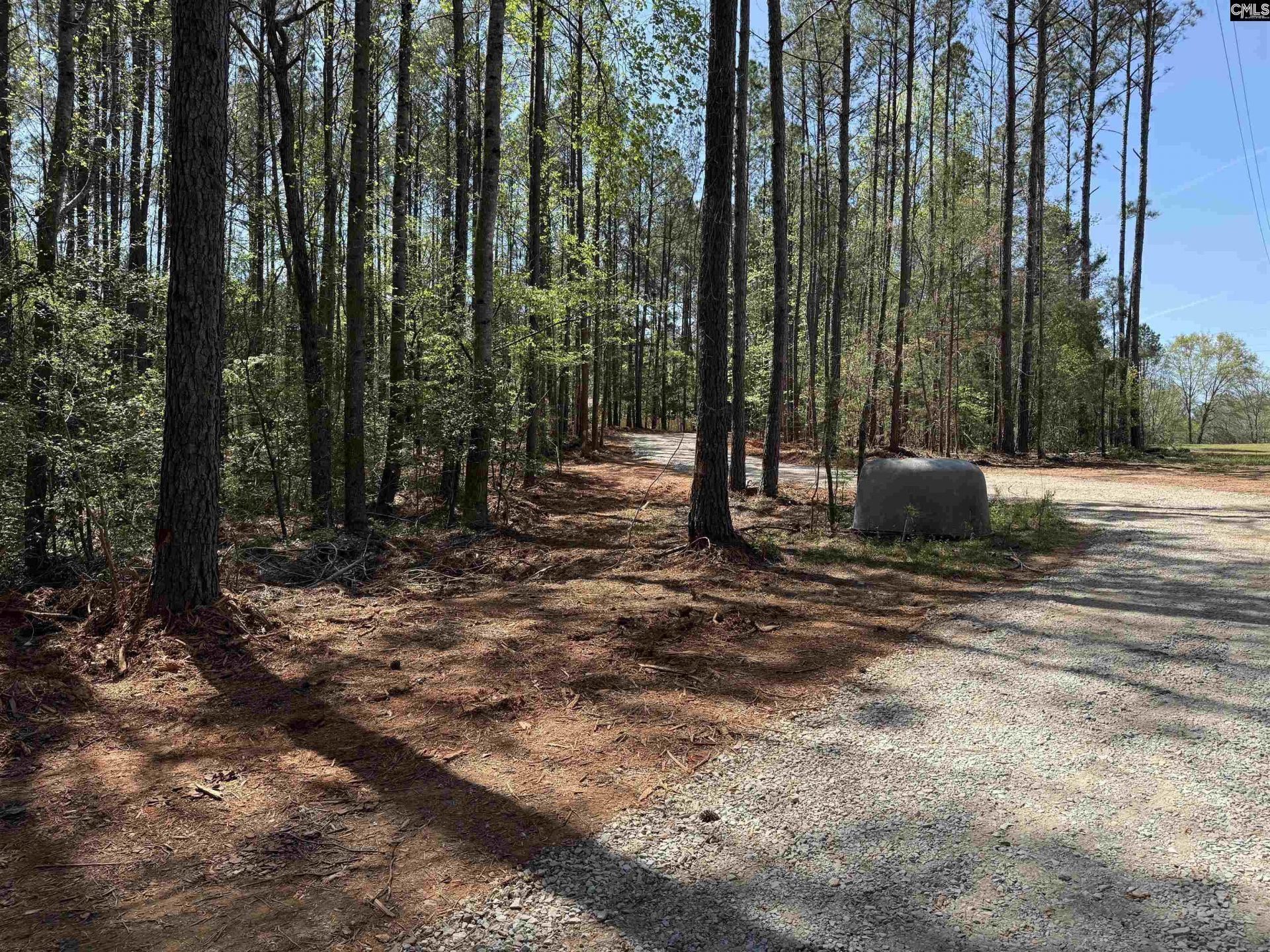 211 Compass Drive Photo 28