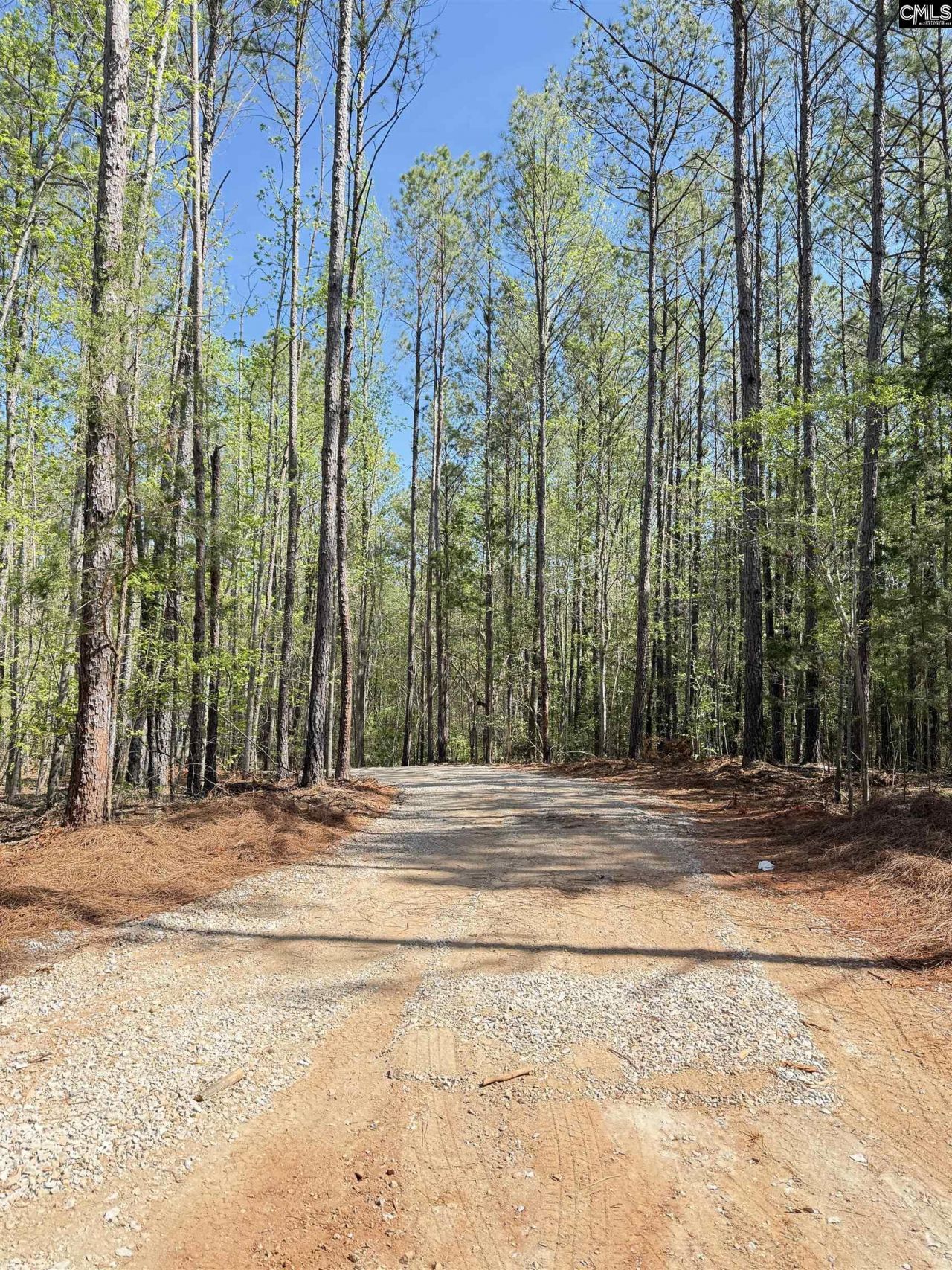 211 Compass Drive  Photo 4