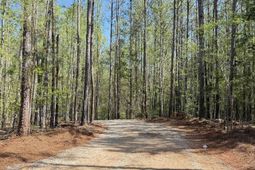 211 Compass Drive  photo 4