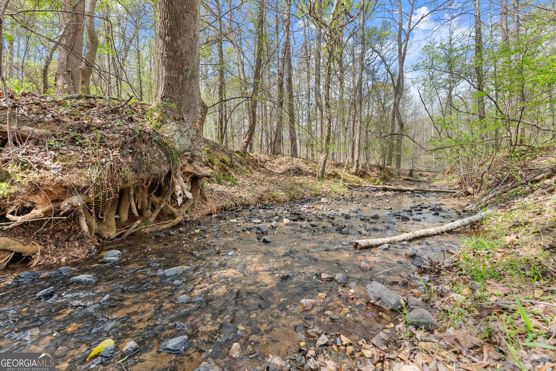 0 Thompson Street, Homer, GA 30547 Main Photo