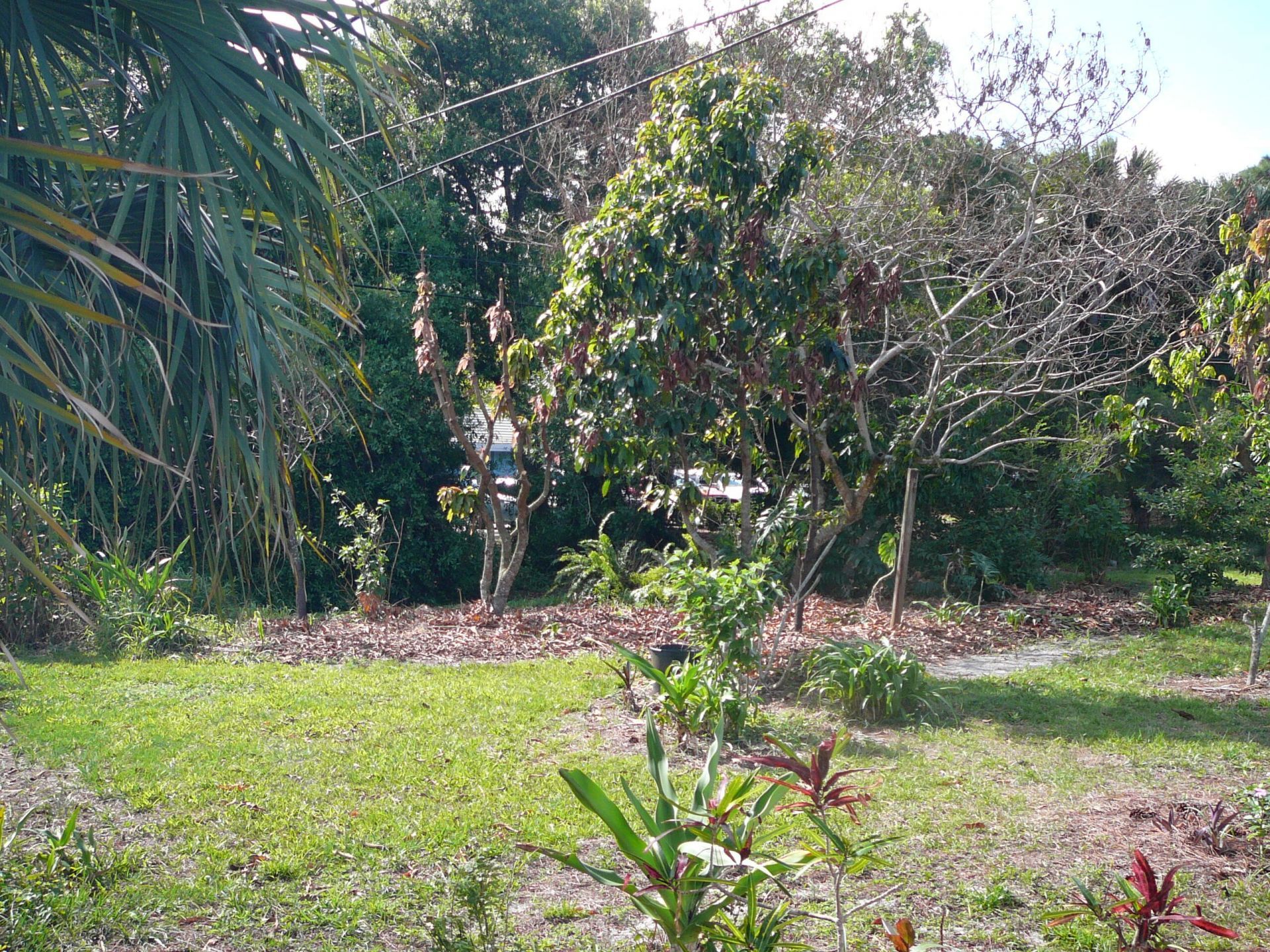 2921 Sherwood Lane, Fort Pierce, FL 34982 Photo