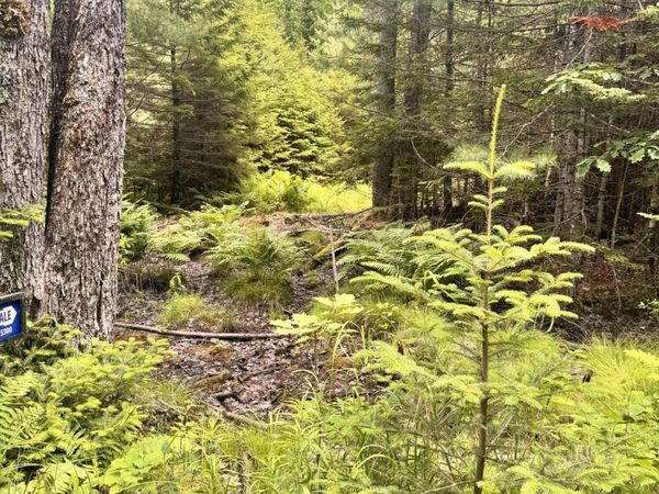 22A Pierce Pond Road, Penobscot, ME 04476