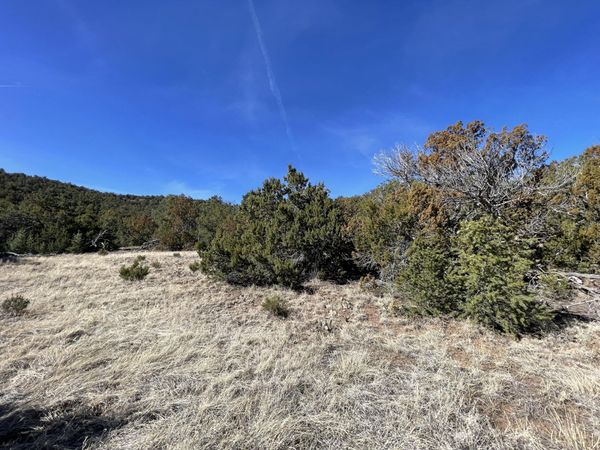 41 Canon Escondido Place , Sandia Park, NM 87047