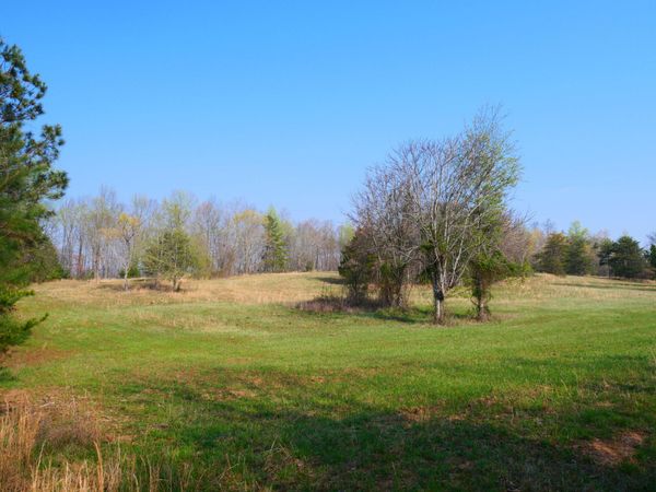 0 Daugherty Ferry Road, Sale Creek, TN 37373