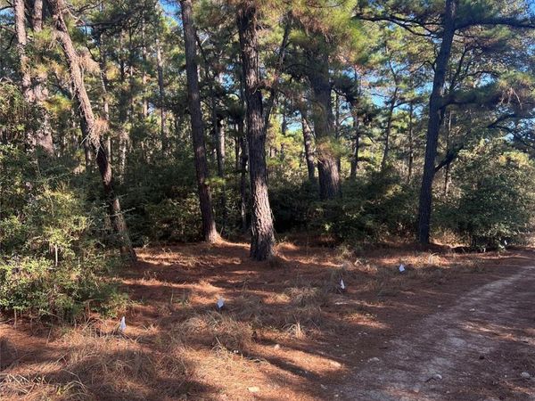 TBD Pine Lodge DR, Bastrop, TX 78602