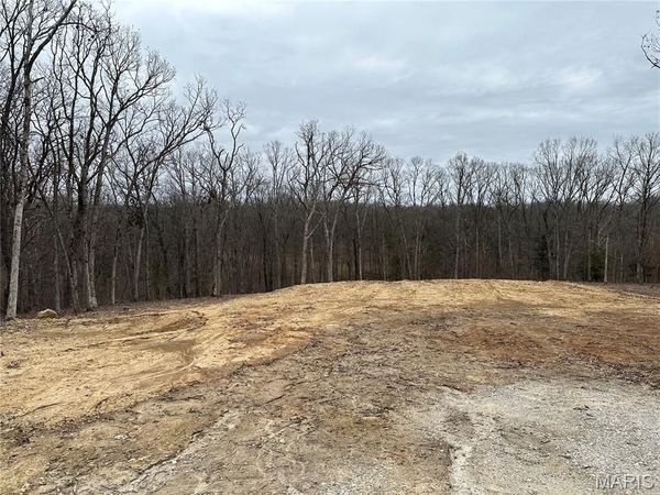 Tract 4 Walker Way, Monroe City, MO 63456