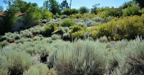 3245 Markridge Drive, Reno, NV 89509 Photo