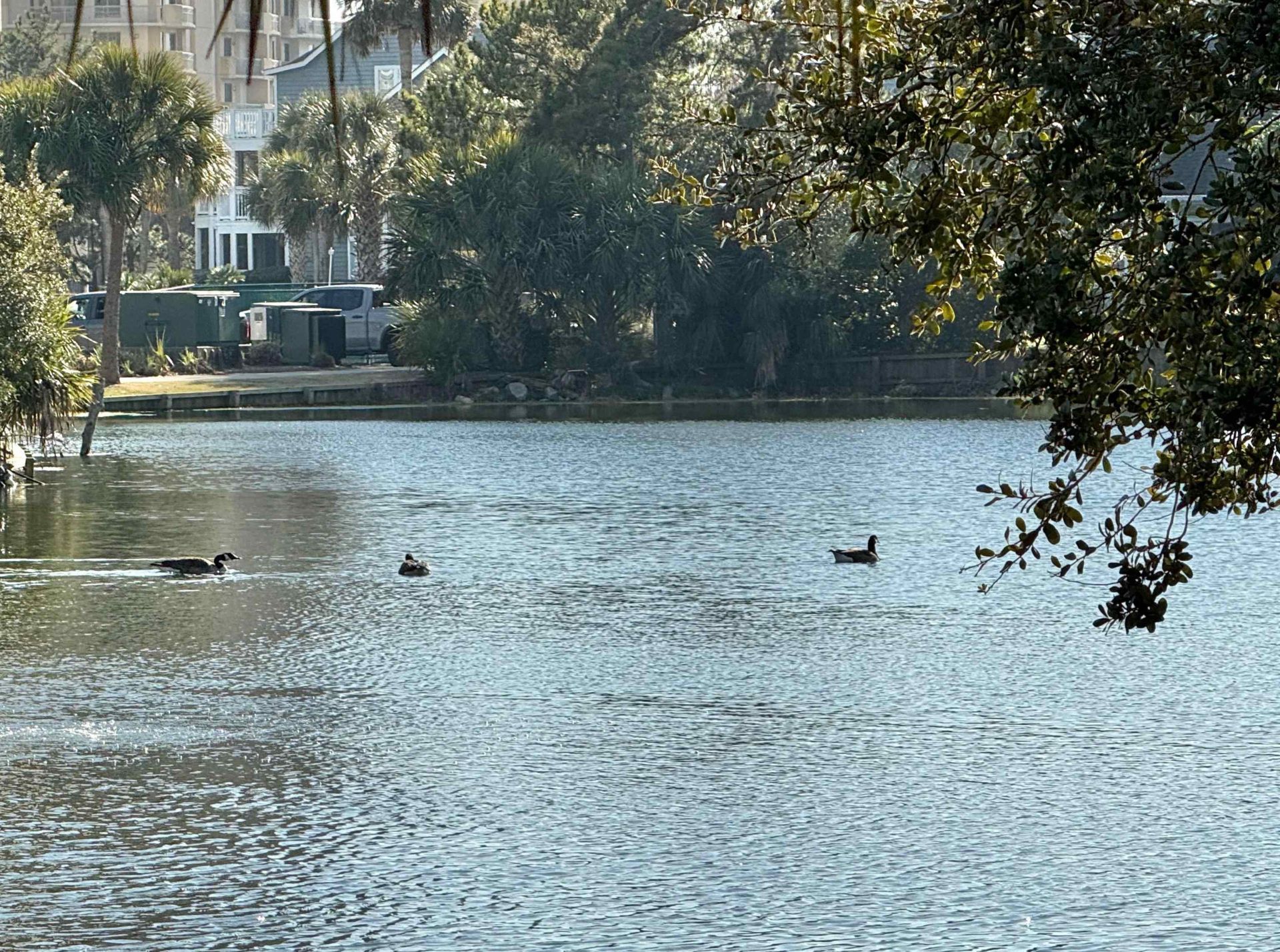 410 Melrose Pl.  Photo 20