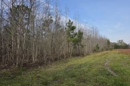 Tbd Hubcap Rd. photo 4