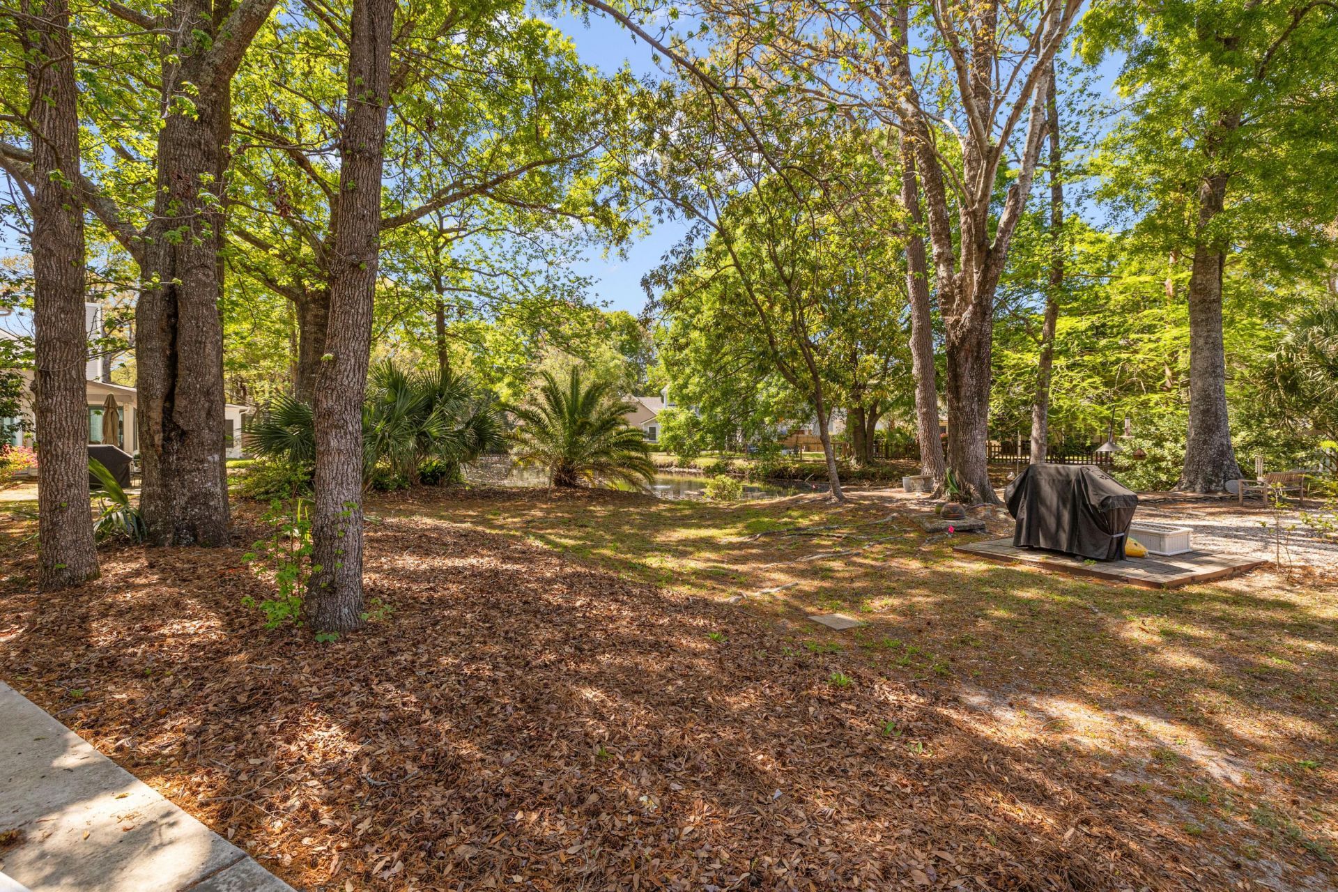 1971 Oak Tree Lane Photo 7