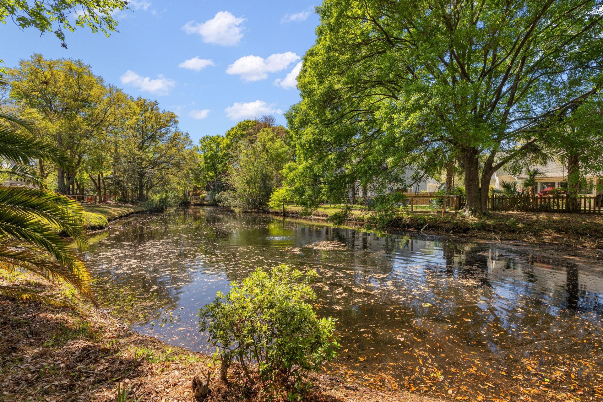1971 Oak Tree Lane Photo 8