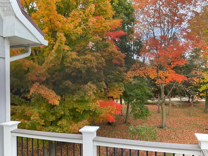 174 Booker Lane, Put in Bay, OH 43456 Photo 13