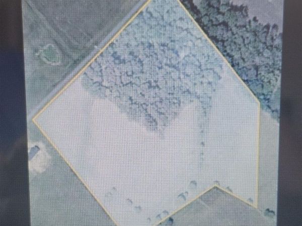 19.4 acres Glover Road, Glasgow, KY 42141