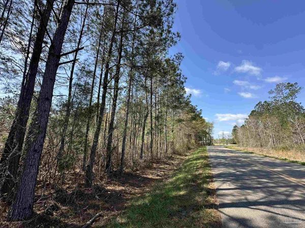 Lot A1 Snider Rd, Frisco City, AL 36445