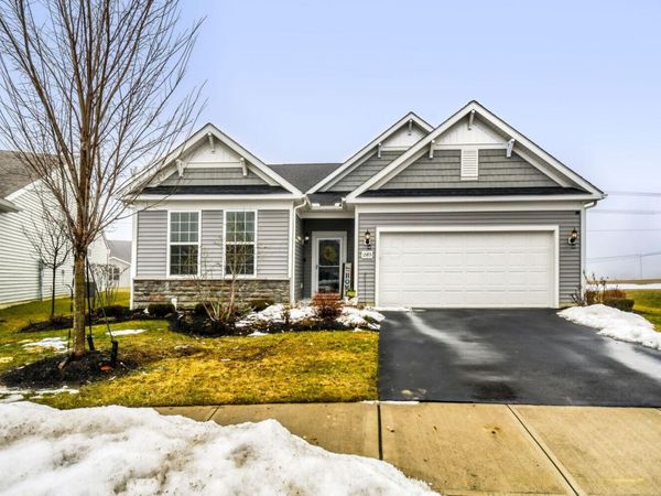 1585 Nettle Court , Sunbury, OH 43074
