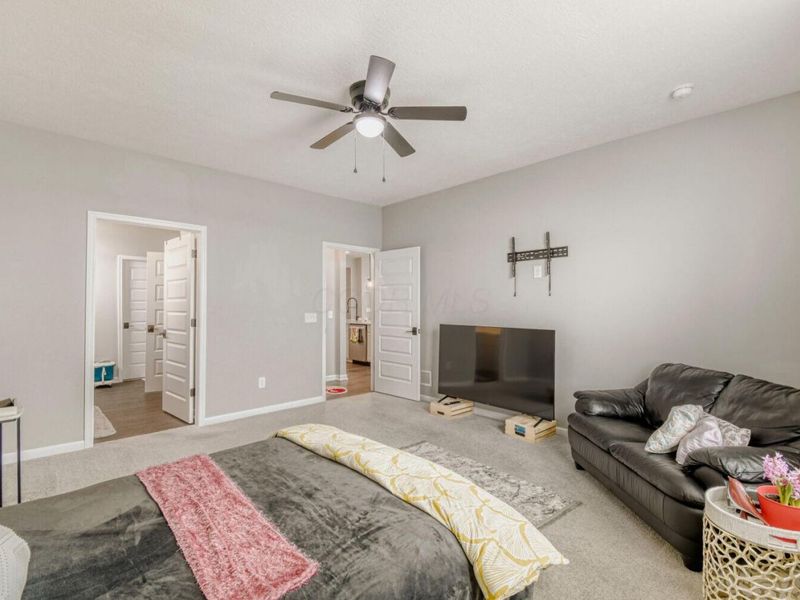 1585 Nettle Court , Sunbury, OH 43074 Photo 19