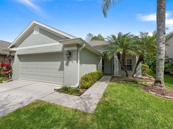 10245 WOODFORD BRIDGE STREET , TAMPA, FL 33626