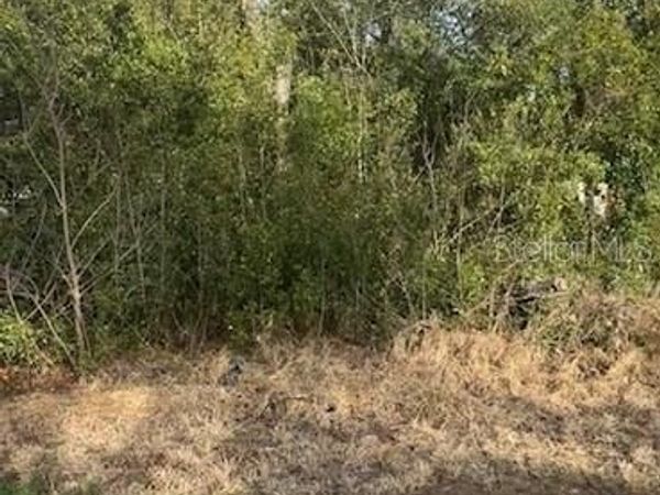 TBD SE 91 COURT , SUMMERFIELD, FL 34491