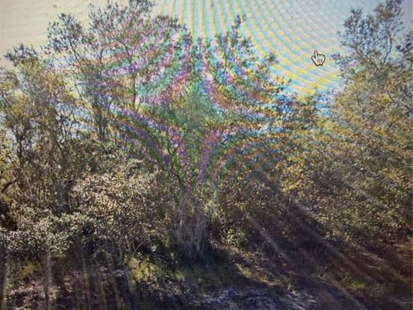 1348 TALLAHASSEE COURT , KISSIMMEE, FL 34759