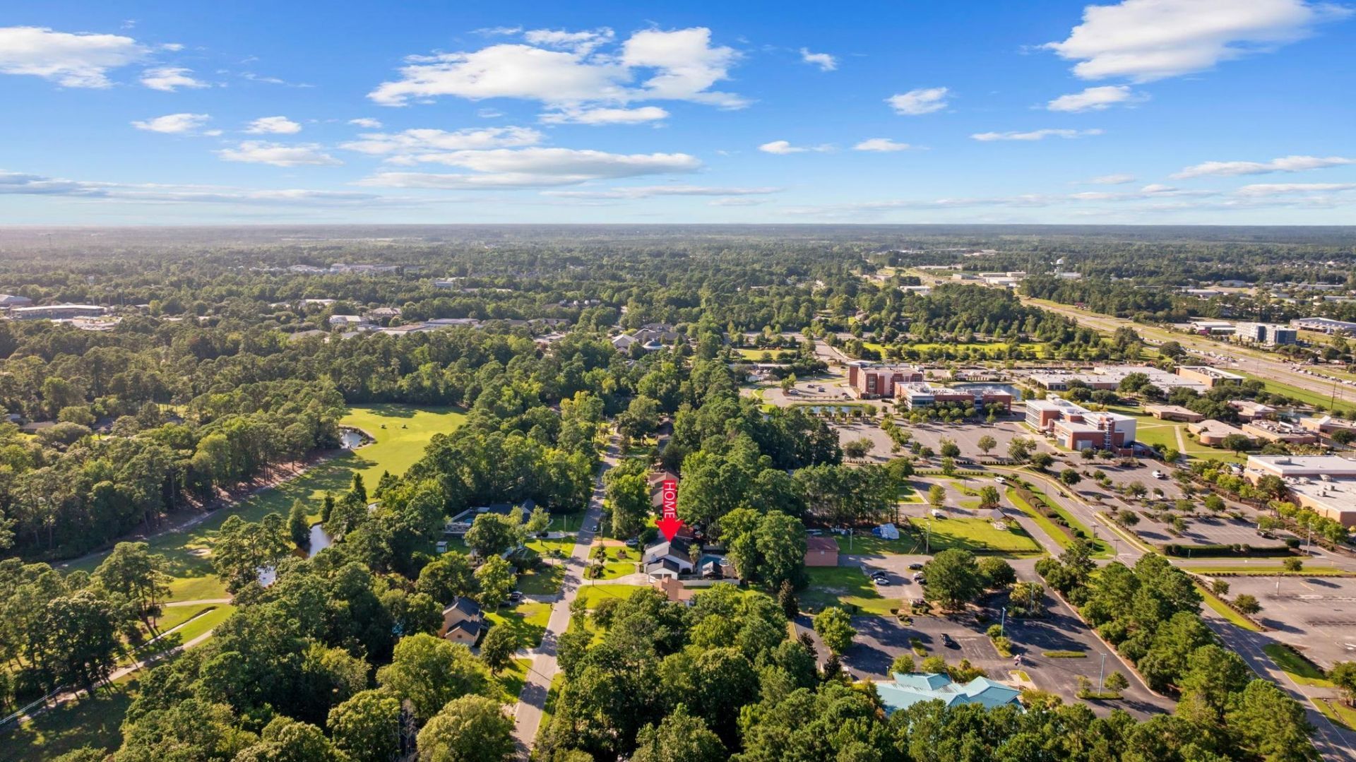 118 Clemson Rd. Photo 46