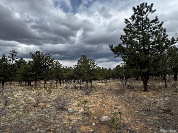 30583 Timberline Drive, Buena Vista, CO 81211