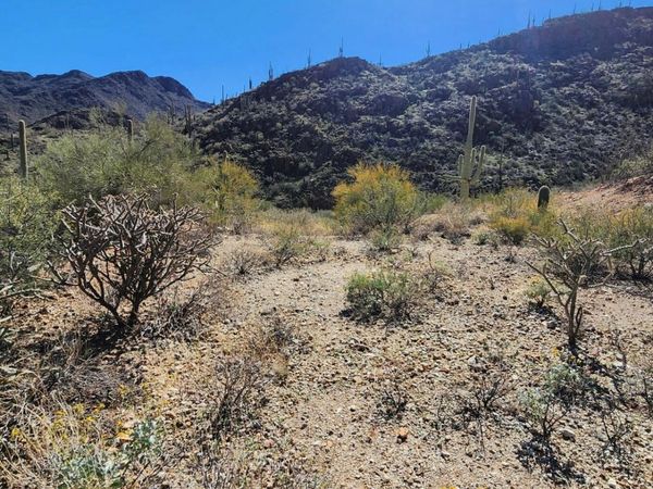 6400 W LOST CANYON Drive, Unit 00013, Tucson, AZ 85745