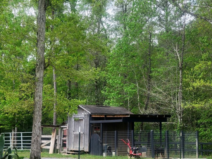 Property Image 61