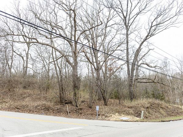 LOT 19 & LOT 18 Williams Road , Lake Marian, IL 60110