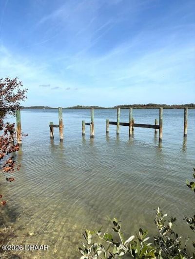 185 Jones Fish Camp Road, Edgewater, FL 32141 Photo