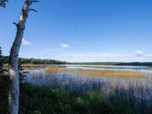 TBD Deacons Way, Pequot Lakes, MN 56472