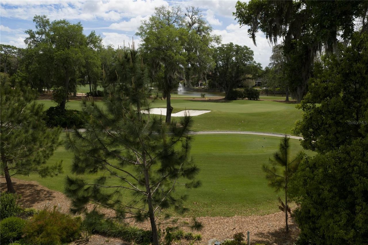 16912 Villalagos De Avila, Lutz, FL 33548 Photo