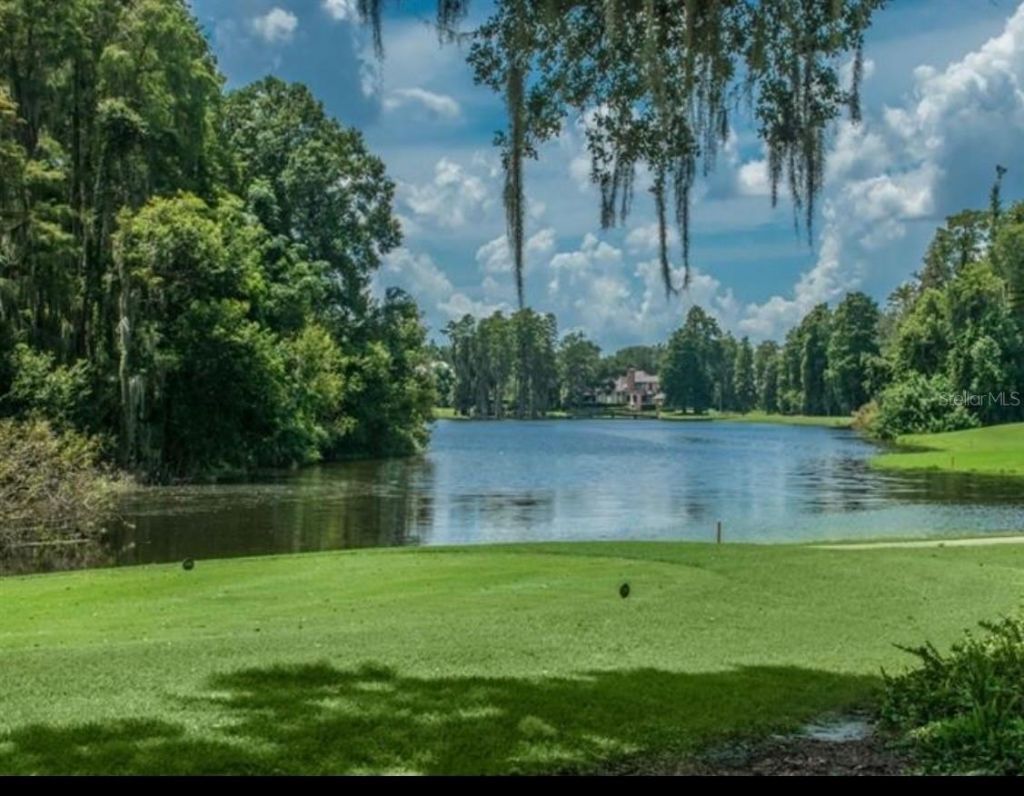 16912 Villalagos De Avila, Lutz, FL 33548 Photo