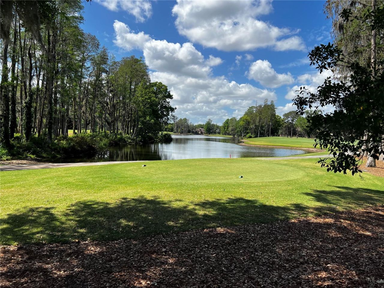 16912 Villalagos De Avila, Lutz, FL 33548 Photo