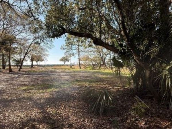 911 MARSHALL FARMS ROAD , OCOEE, FL 34761