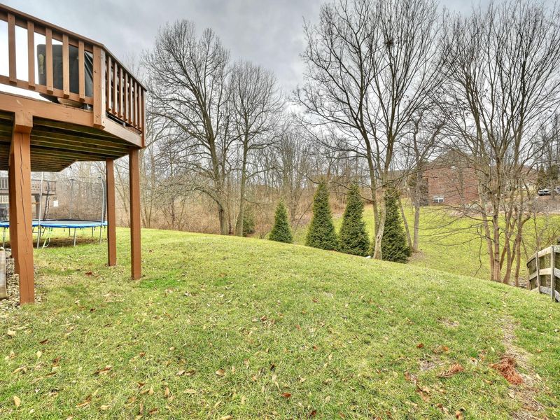 1068 Charley Court, Union, KY 41091 Photo 29