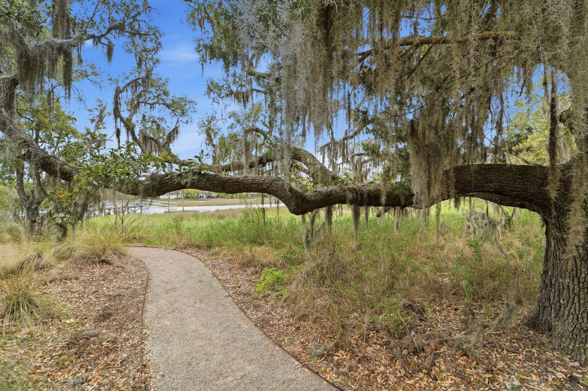 1421 Eutaw Battalion Drive Photo 64