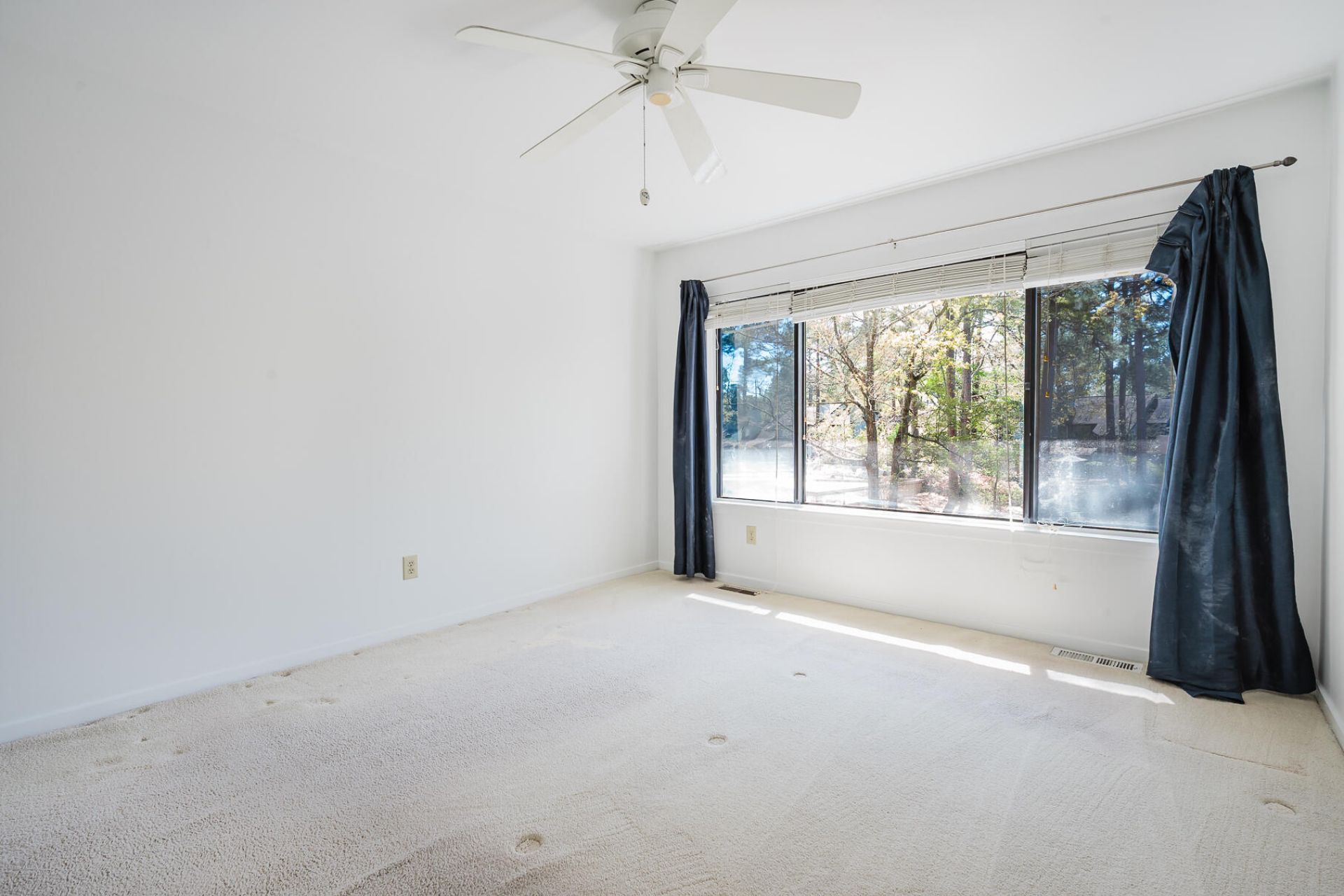 1133 Shadow Lake Circle Photo 29