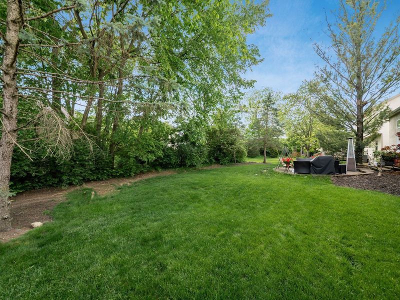 3807 Dayspring Drive, Hilliard, OH 43026 Photo 47