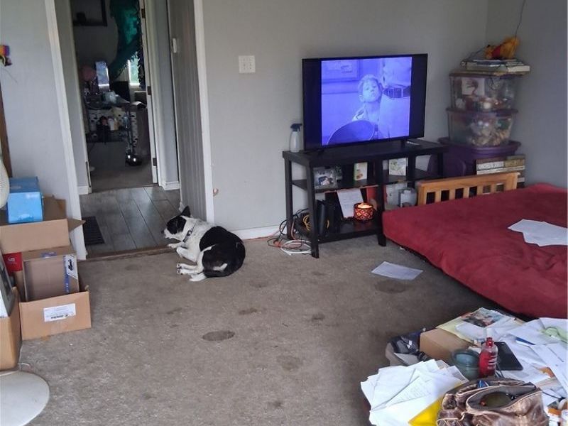 2196 Congress Lake Road, Mogadore, OH 44260 Photo 3