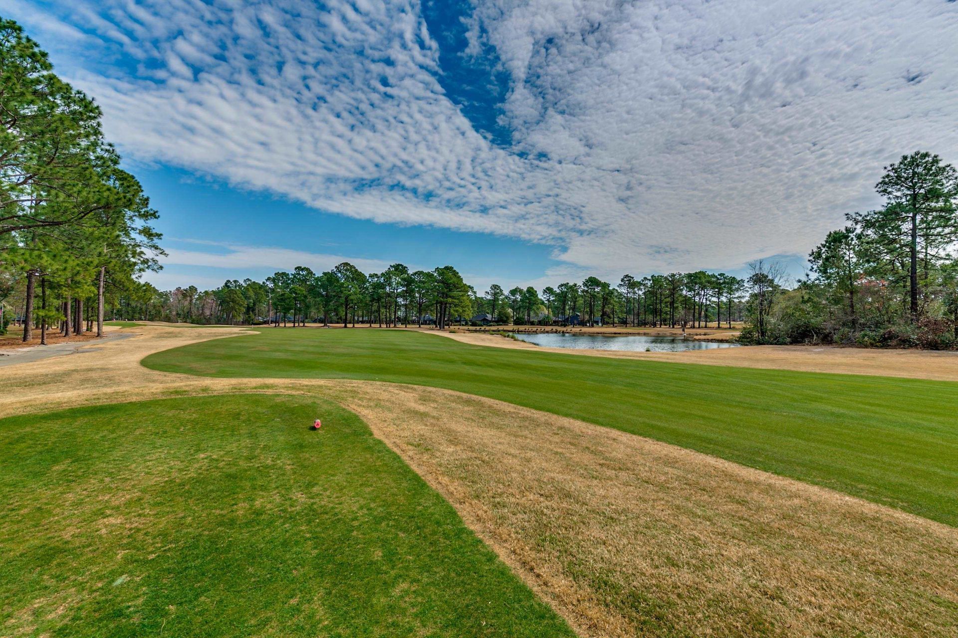 100 Laurelwood Ln. Photo 37